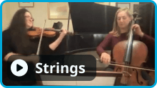 Strings Audio Sample Video